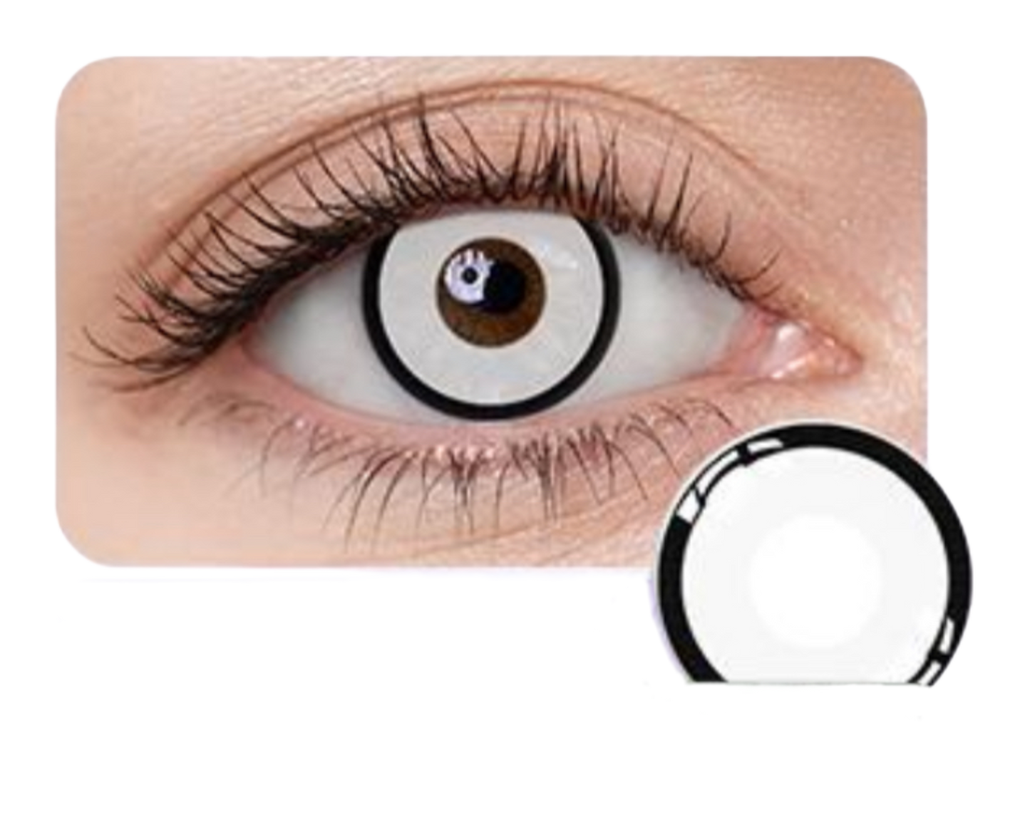 White/ Black Ring Halloween Jahreslinsen