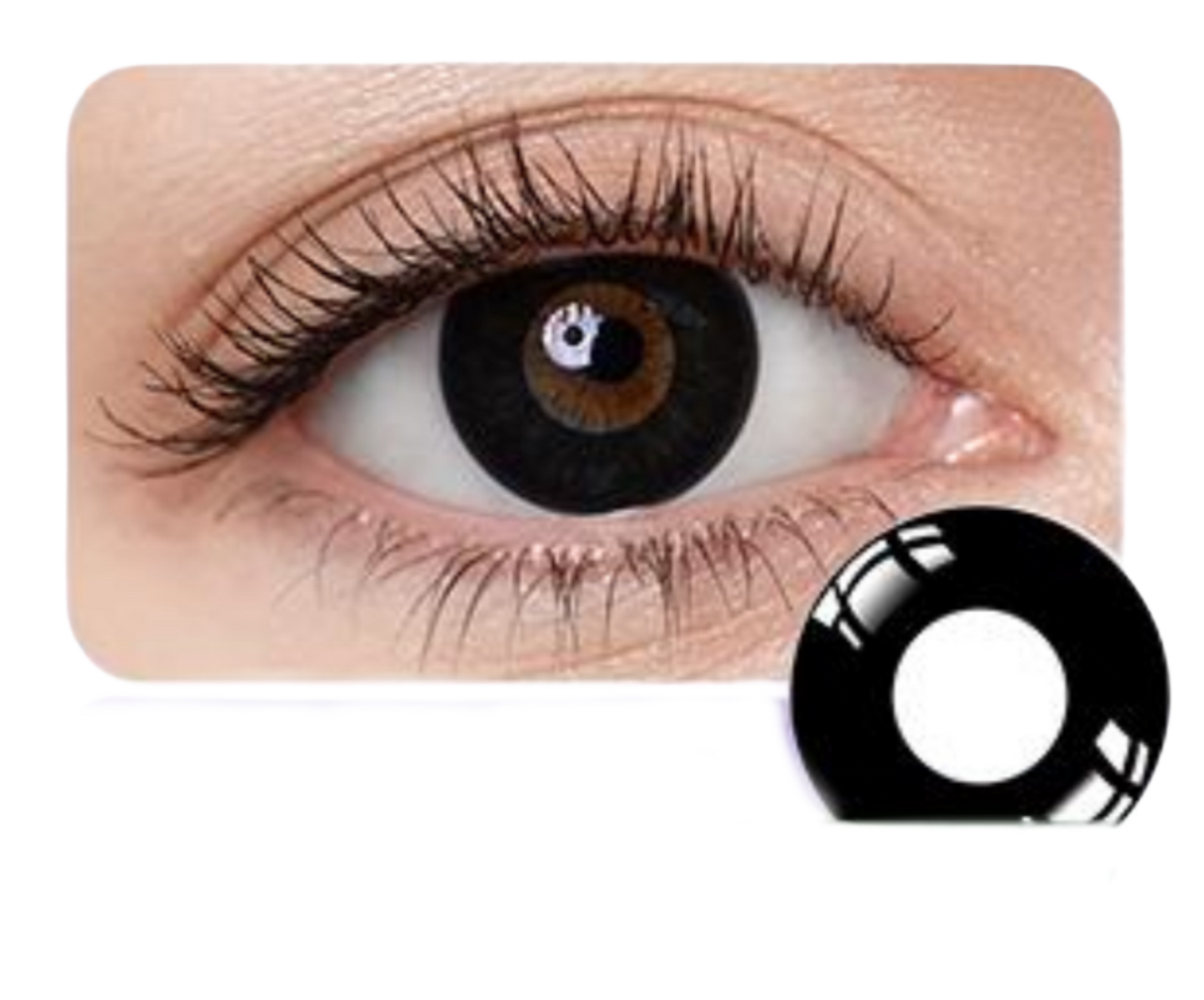 Black Halloween Lenses - Jahreslinsen